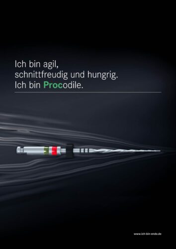 Broschüre | Procodile