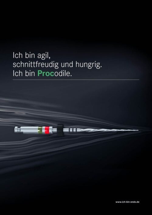 Broschüre | Procodile