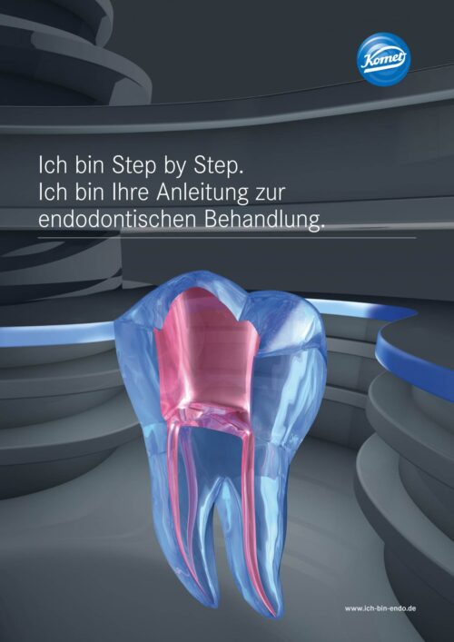 Broschüre | Endo Step by Step