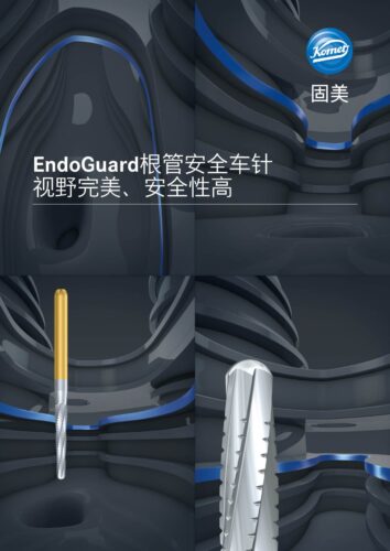 Broschüre | EndoGuard