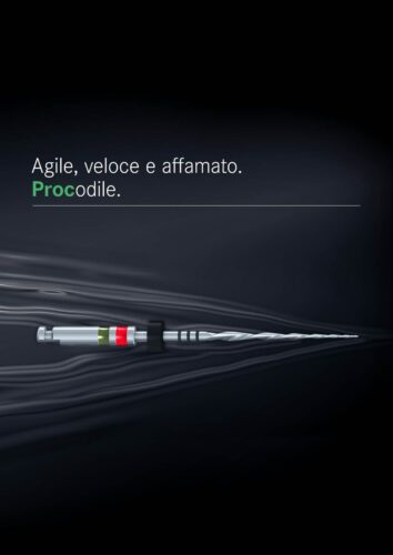 Brochure | Procodile