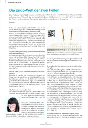 FB | Die Endo-Welt der zwei Feilen