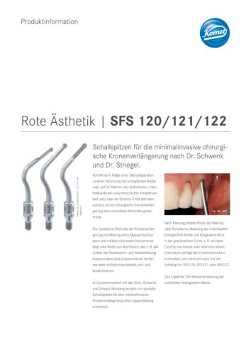 PI | SFS Rote Ästhetik