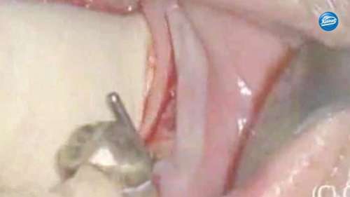 Video | Drilling of a pilot hole with the 210L16