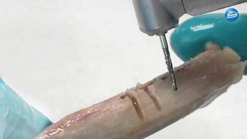 Video | Bone cutter H162ST