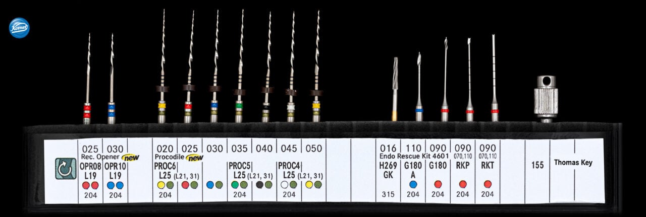 Campionario ENDODONZIA PERNI RADICOLARI particolari EN 06